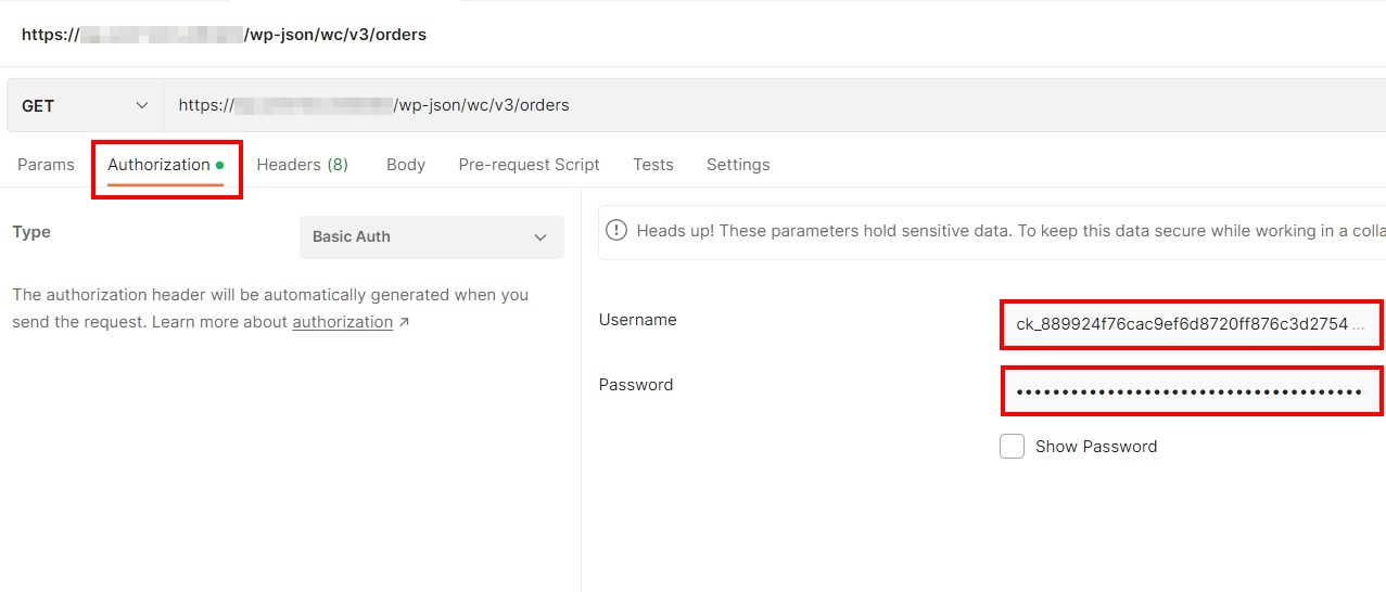Image: Screenshot of Authorization page in Postman