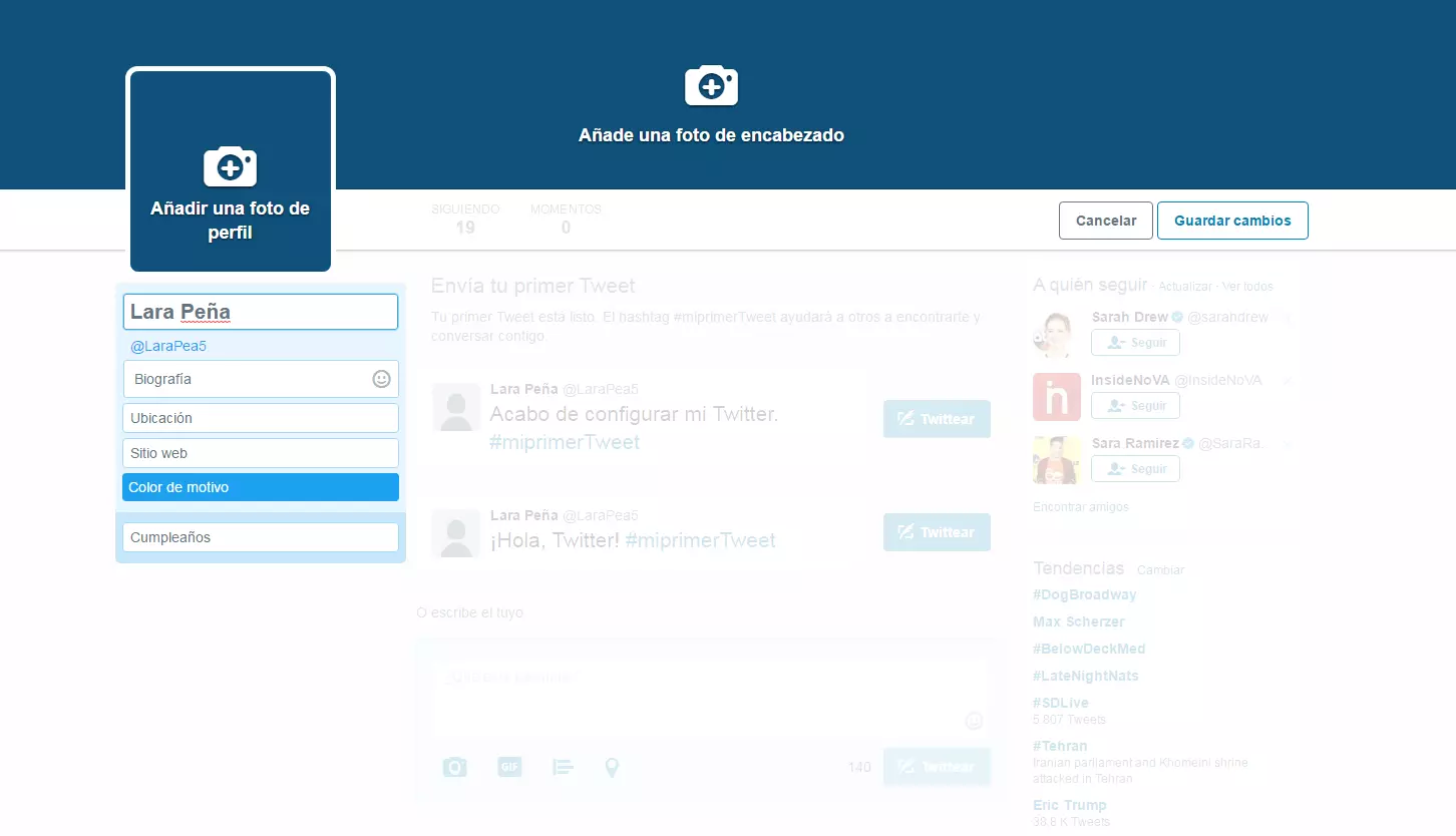 Imagen: Captura de pantalla de la interfaz de Twitter para editar el propio perfil