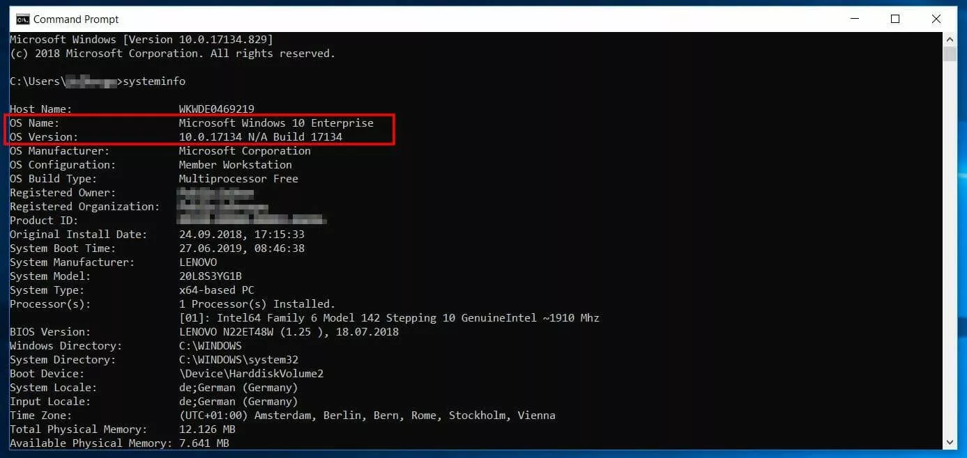 Imagen: Terminal de la línea de comandos para el comando systeminfo